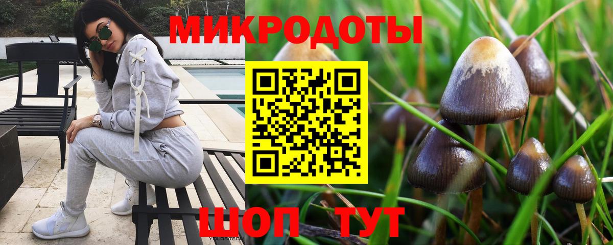 Елец  Галлюциногенные грибы мицелий  Псилоцибиновые грибы Cubensis  Вход с VPN 