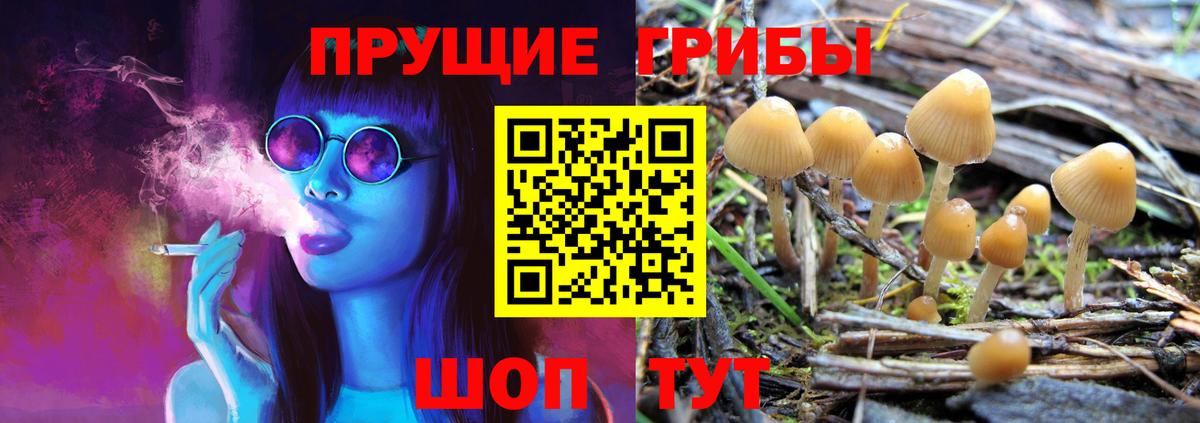 Псилоцибиновые грибы мухоморы Елец